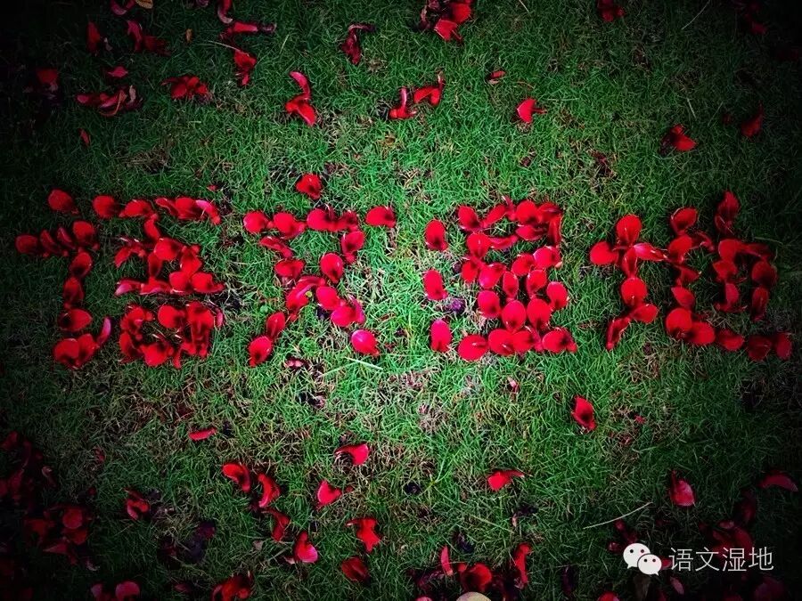 【湿地美文】彭惠平：静待花开