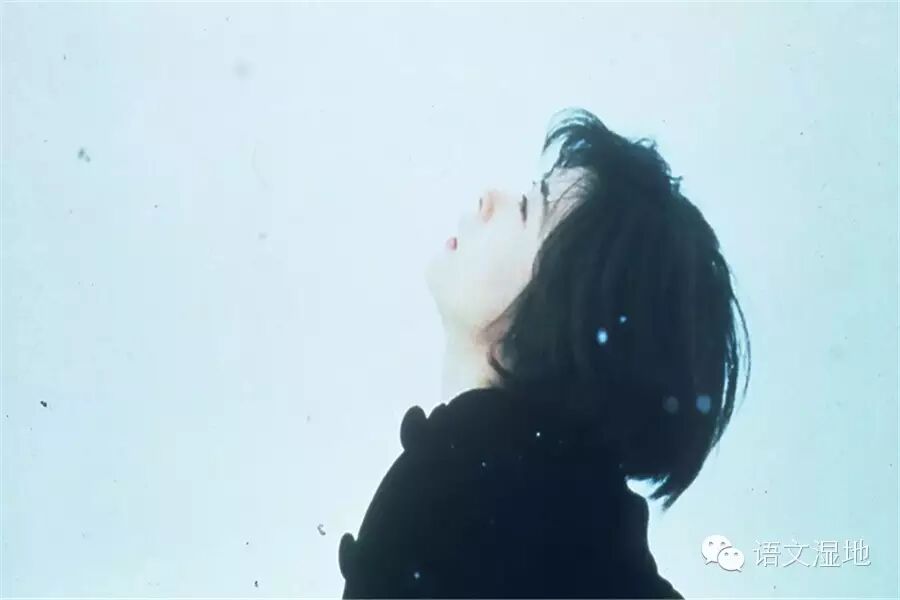 【湿地之声】电影推荐：《情书》——错过的美好