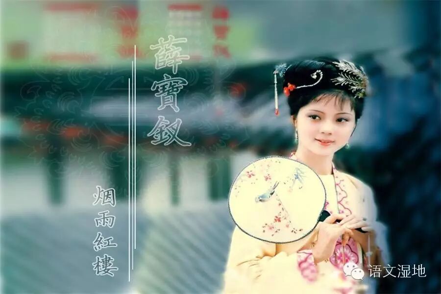 第870季 【湿地 豫见】富贵丛中的左右逢源