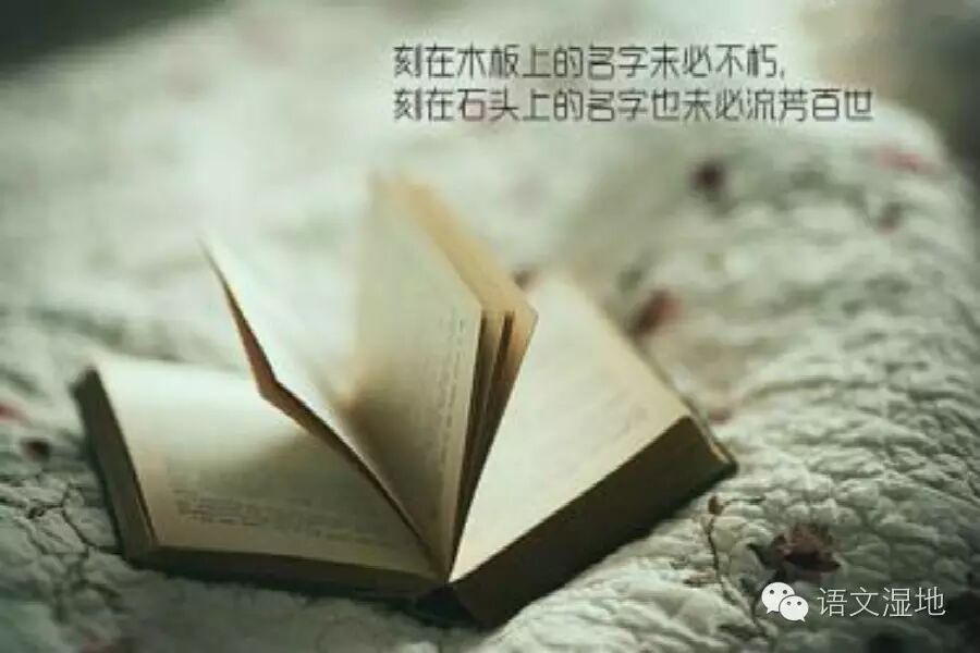 第954季【湿地　豫见】跋涉，为师者的常态