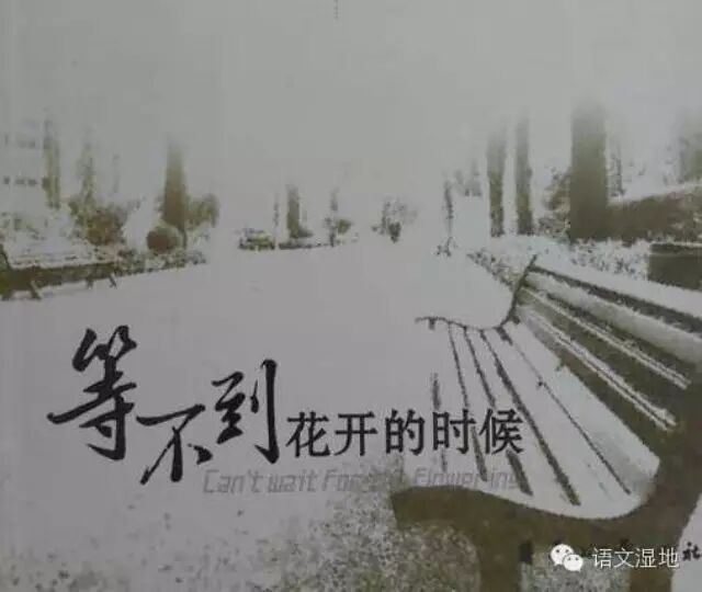 【湿地之声】暖心阅读推荐：《等不到花开的时候》