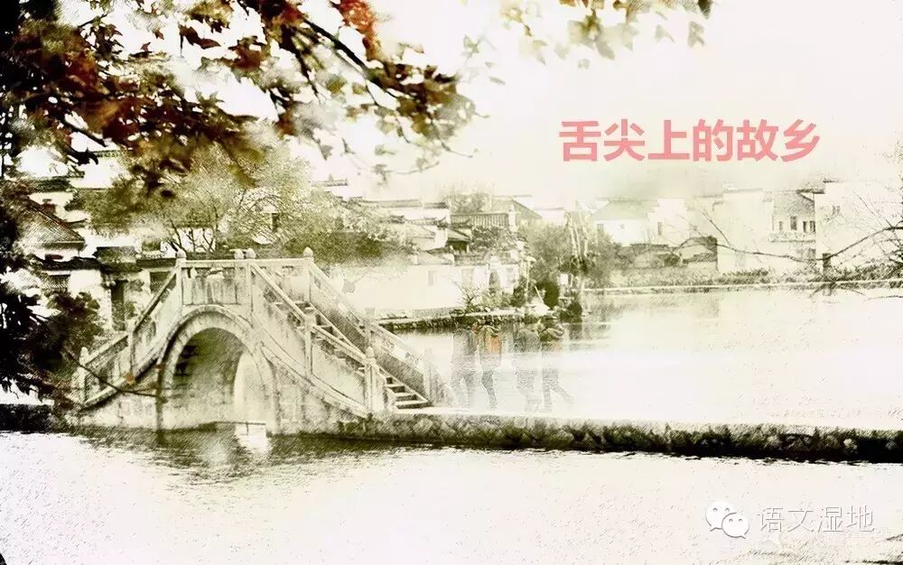 第821季【湿地 豫见】舌尖上的故乡（一）