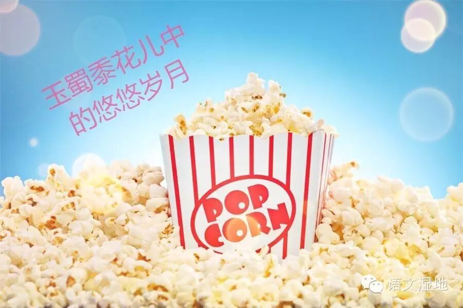 第793季【湿地 豫见】玉蜀黍花儿中的悠悠岁月