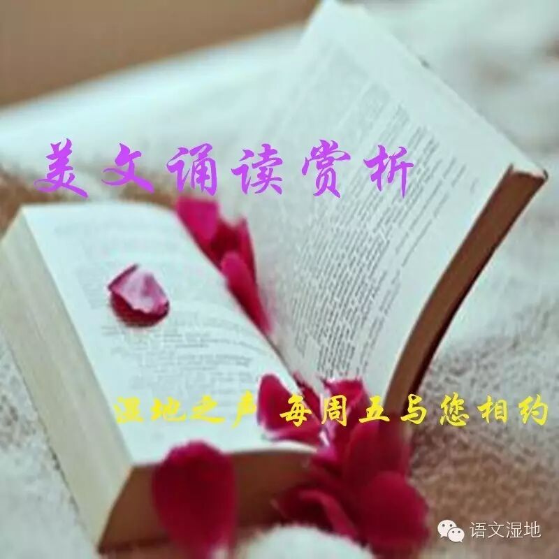 【湿地之声】  美文诵读赏析：有月亮的晚上