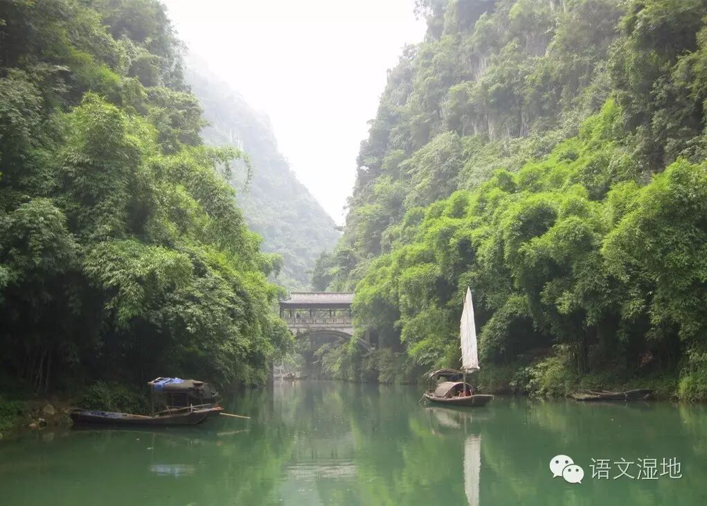 【大美宜昌】语文湿地，感谢有你！
