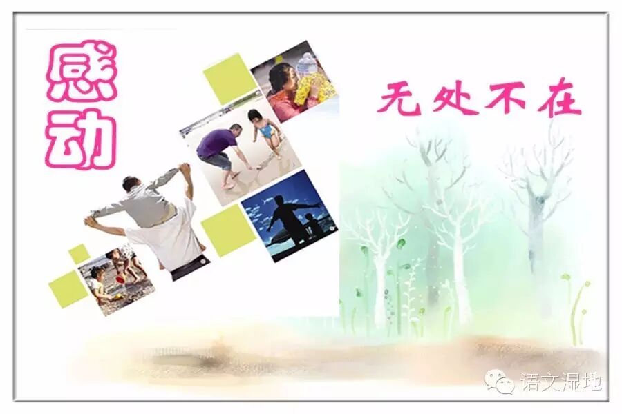 第629季  湿地 •悦享生活 ：我为潮男狂