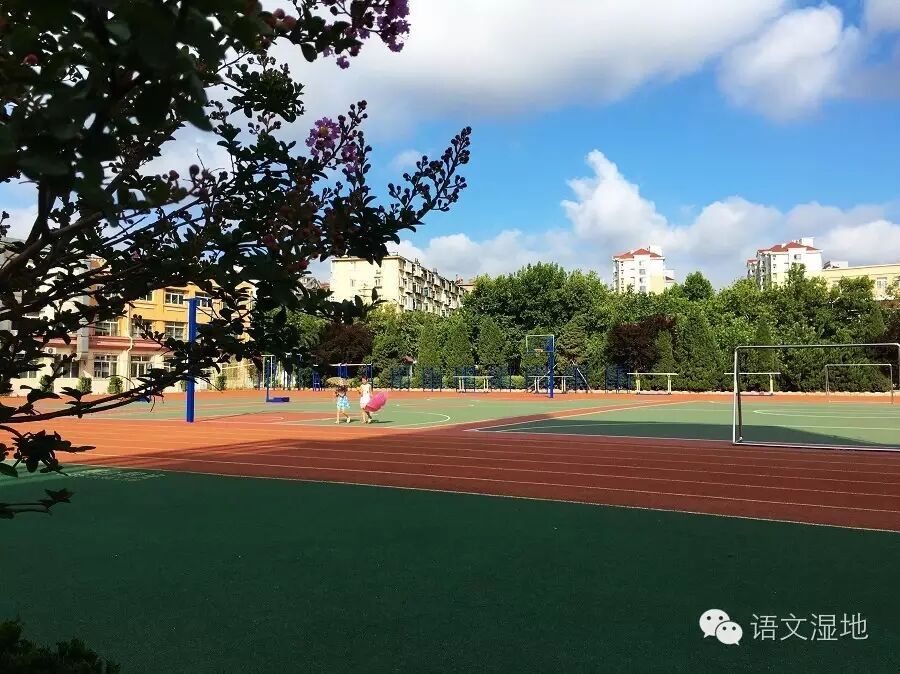 第955季【我与湿地】那一年，当草根遇到了湿地