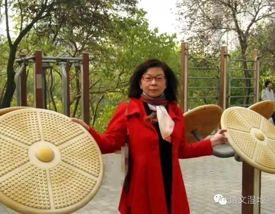 【定琴专栏】喜欢昭君的N个理由