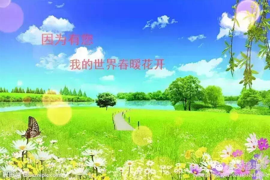 第780季 【湿地 豫见】因为有您，我的世界春暖花开