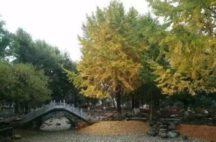 丽江到大理怎么去比较方便_丽江到大理中间有什么玩的_大理丽江怎么走