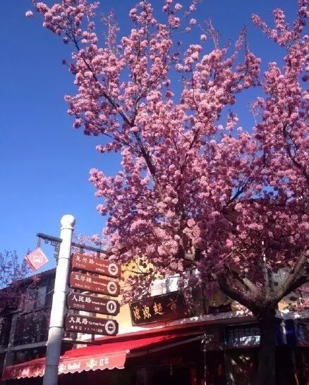 大理丽江怎么走_丽江到大理中间有什么玩的_丽江到大理怎么去比较方便