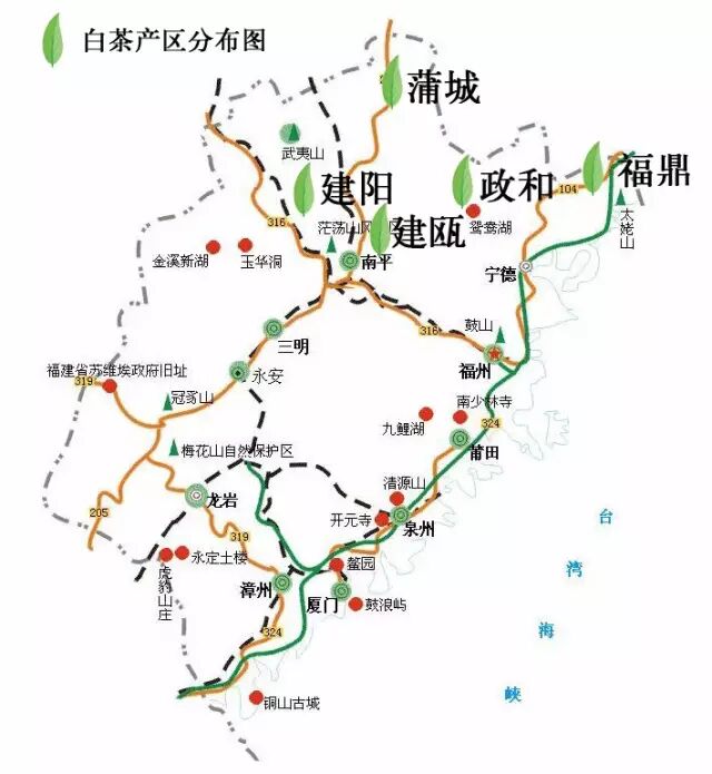 白茶有哪些种类