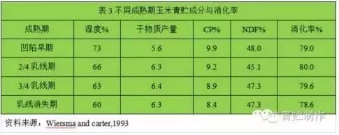 如何根据玉米成熟度来判断青贮干物质与营养价值