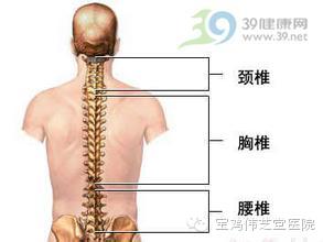 腰椎康复操