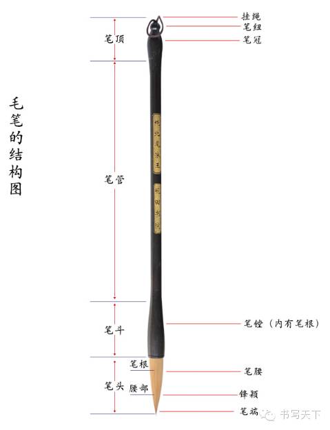 毛笔画花纹的笔锋,商代甲骨文中已出现笔的象形文字,也有形似手握笔的