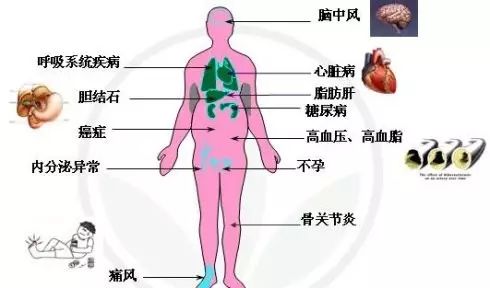 瘦身方案减肥产品_瘦身建议及方法_瘦身方案