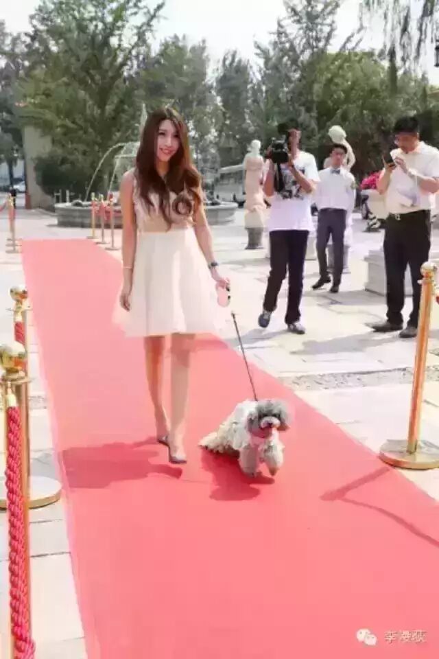 李漫荻受邀宠物“戛纳盛典” 携范冰冰爱犬亮相