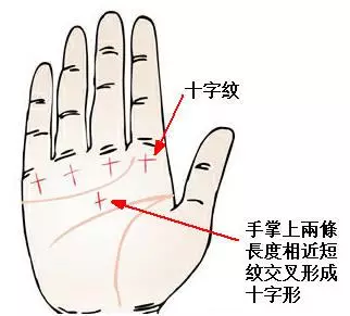 偏财运的手相_偏财财运手纹算命图解_偏财运手相