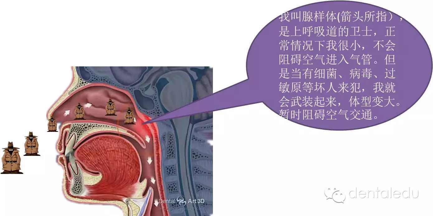 碎碎念——我们为什么要关注口呼吸不良习惯