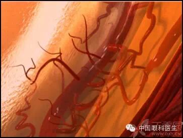 ��������Ĥ��������ۡ���ȫͼ�������ղء�