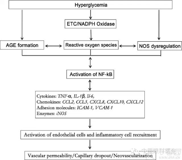 ��������Ĥ��������ۡ���ȫͼ�������ղء�