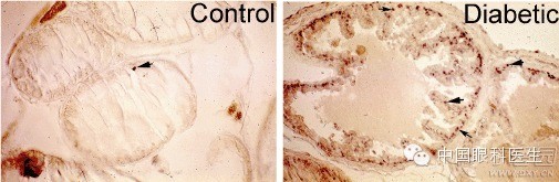 ��������Ĥ��������ۡ���ȫͼ�������ղء�