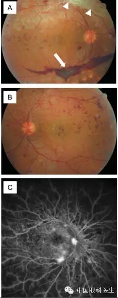 ��������Ĥ��������ۡ���ȫͼ�������ղء�