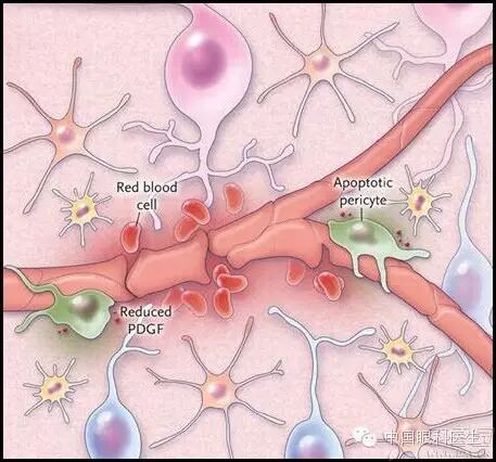 ��������Ĥ��������ۡ���ȫͼ�������ղء�