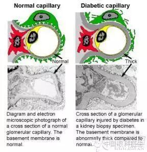 ��������Ĥ��������ۡ���ȫͼ�������ղء�