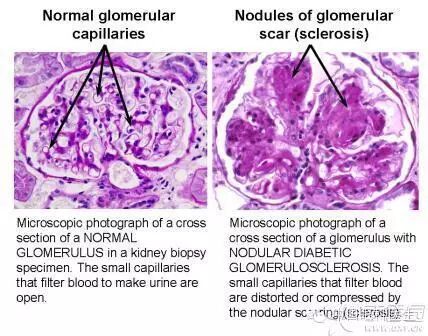 ��������Ĥ��������ۡ���ȫͼ�������ղء�