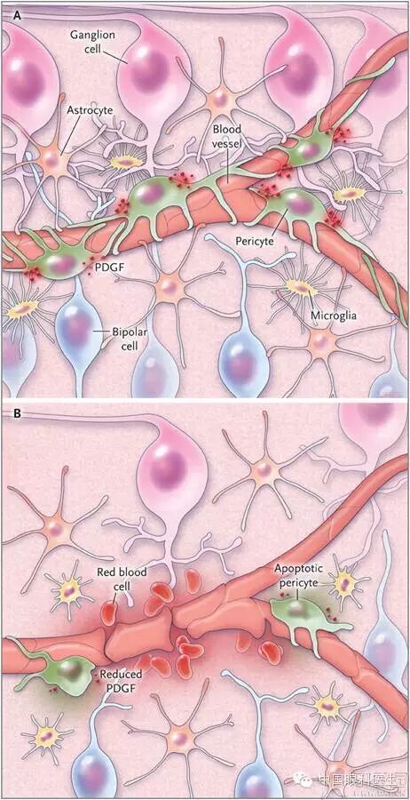 ��������Ĥ��������ۡ���ȫͼ�������ղء�