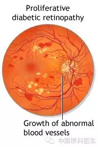 ��������Ĥ��������ۡ���ȫͼ�������ղء�