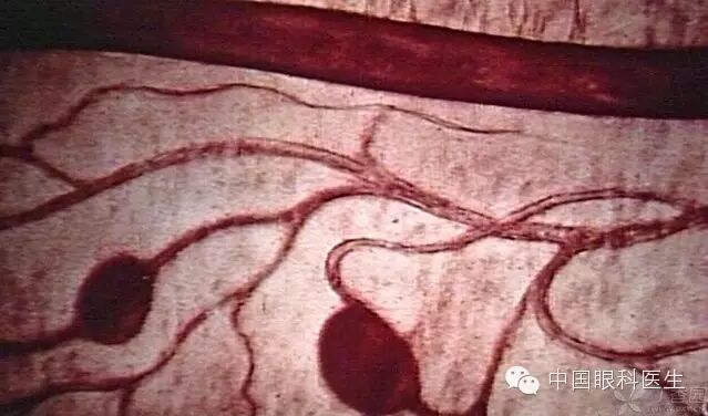 ��������Ĥ��������ۡ���ȫͼ�������ղء�