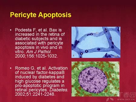 ��������Ĥ��������ۡ���ȫͼ�������ղء�