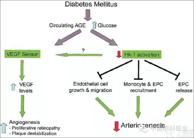 ��������Ĥ��������ۡ���ȫͼ�������ղء�
