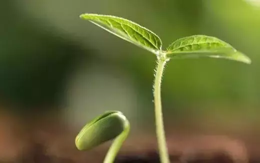 笑看昨天,珍爱今天,期待明天! - hnyzlzj - 雪柳的博客 笑看昨天,珍爱今天,期待明天! - hnyzlzj - 雪柳的博客
