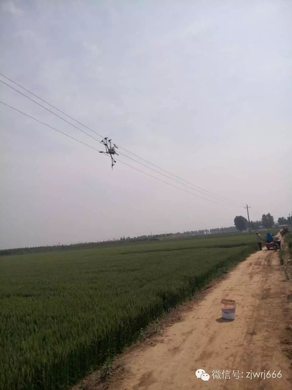 航拍下的植保飛防