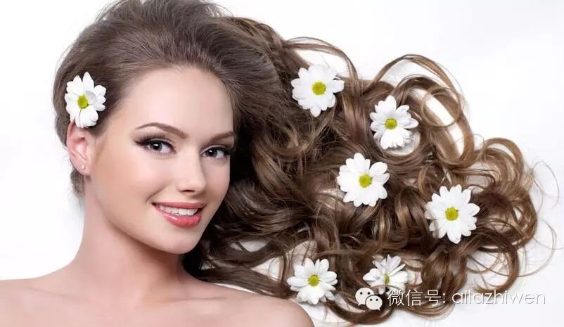 K-Beauty  I•SISSEL 干性or油性 常见发质如何挑选护发素