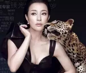 【不老女神】刘晓庆空降南阳,赶紧来抢票吧!