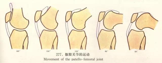 健朗医疗教您认识一种膝关节疼，叫髌骨软化！(图2)