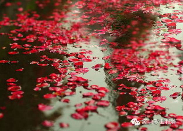 童安格《花瓣雨》一代人的记忆.