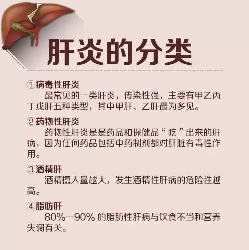 你知道7月28日是世界肝炎日吗