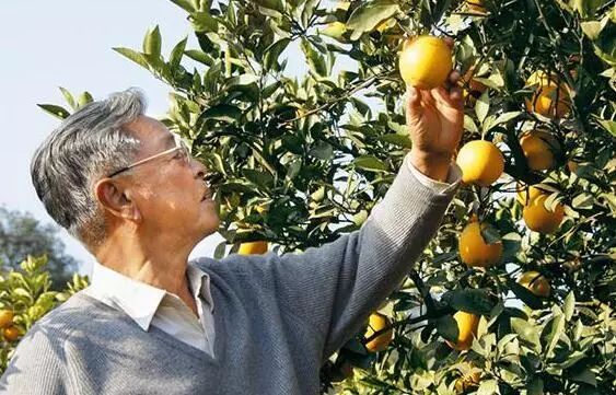 好企业家首先得是个好首席产品官——读《褚橙你也学不会》插图2