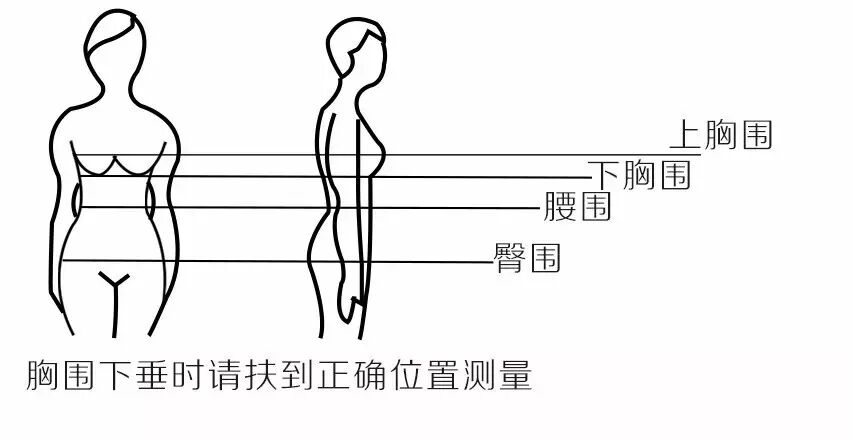 罩杯abcd尺码表 【露迪尚品】如何正确度量胸围尺码