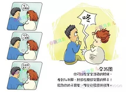 怀孕三十五周-怀孕期