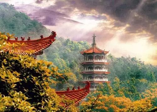衡阳市旅游景点排行:四明山国家森林公园荣膺桂冠