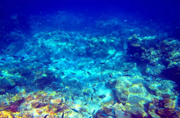 终于开放旅游了!西沙群岛-美过马尔代夫!!