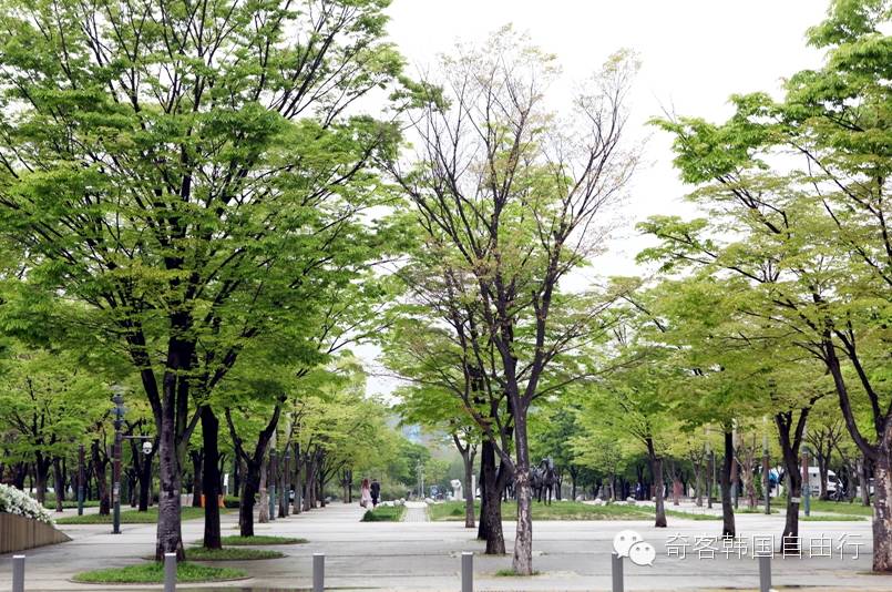 understand avenue风景