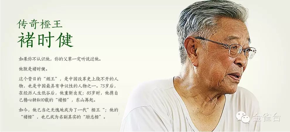 褚时健:赤子橙心