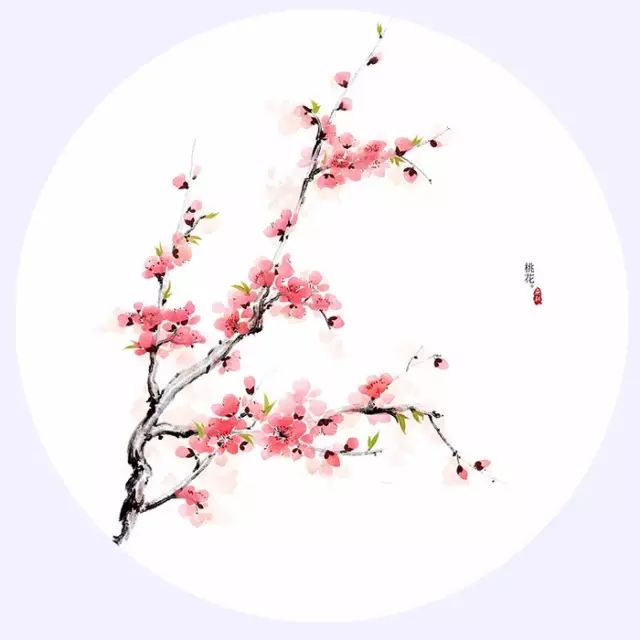 20170510193517_y5h8yi953x.png?v=1762064226576